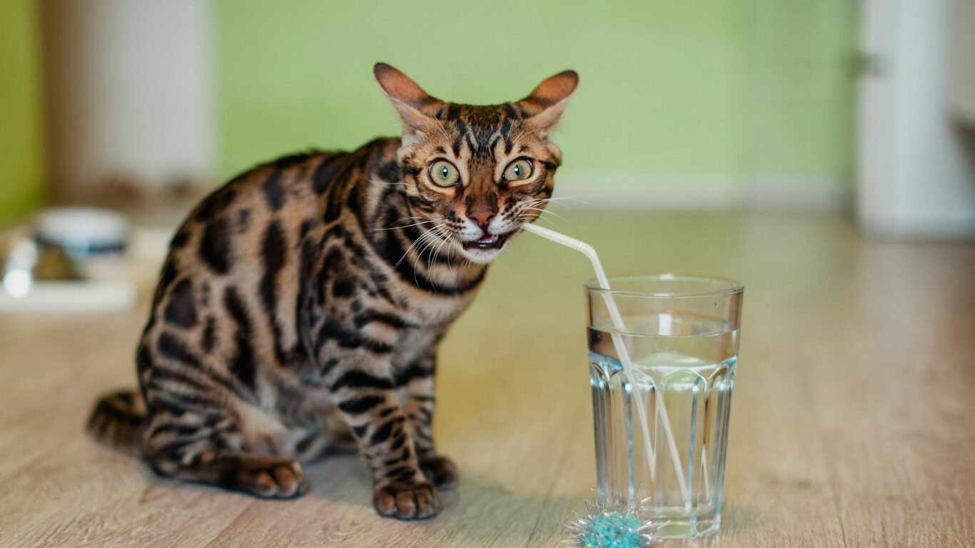 運動中は何を飲めばいい?目的別おすすめの飲み物とは